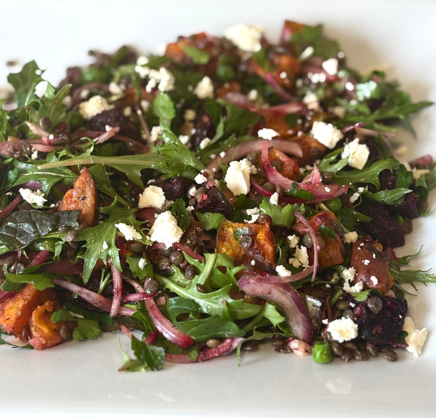 Beetroot & Puy Lentil Salad (GF)