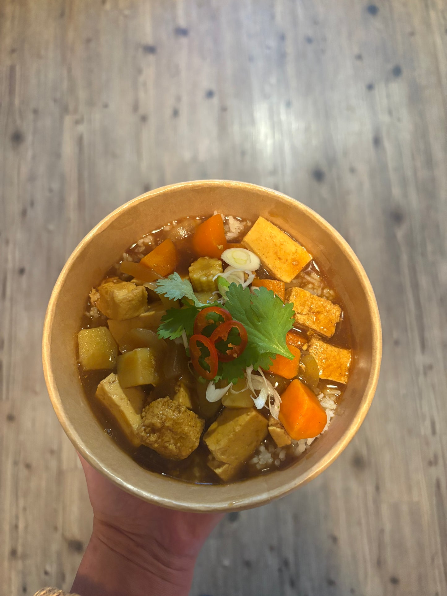 Japanese Curry (DF V)